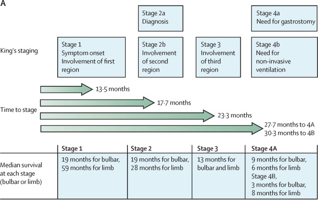 The Lancet, Figure 4 A: King's staging of ALS, which rates the progression of the disease into four stages