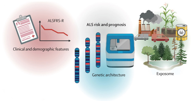 The Lancet, Figure 4 C: a schematic overview of factors that affect amyotrophic lateral sclerosis risk (onset) and prognosis 